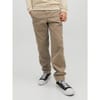 Dave Regular Fit Chinos