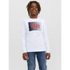 Corp Logo Regular Fit Long Sleeve T-Shirt