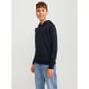 Bradley Hooded Regular Fit Sweatshirt