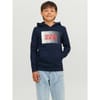 Play Hooded Sweatshirt