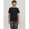 Regular Fit Crew Neck T-Shirt
