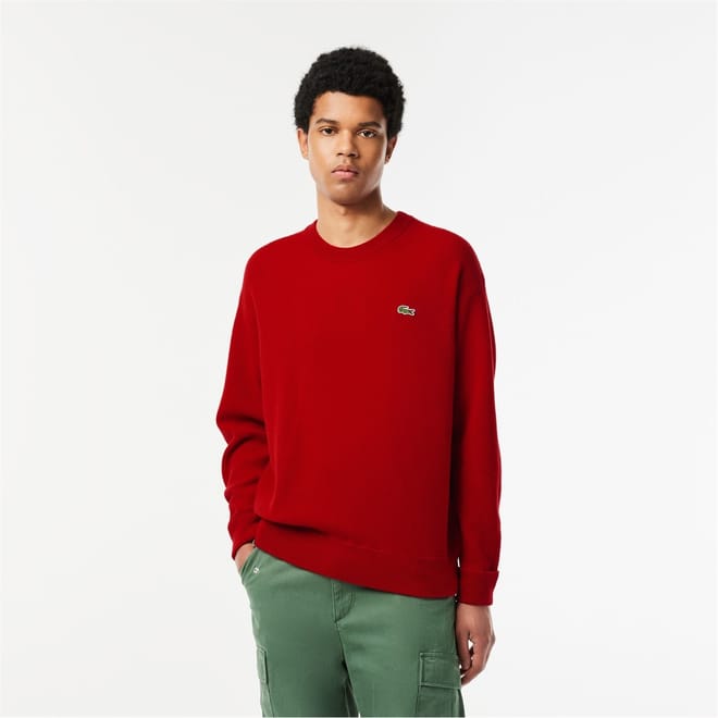 Crew Neck Regular Fit Sweater