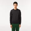 Crew Neck Regular Fit Sweater