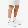 Powercourt Low Top Crocodile Print Sneakers