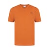 Mens V Neck T-Shirt