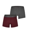 2 Pack Trunks