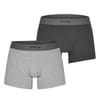 2 Pack Trunks