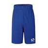 Core Football Shorts Junior