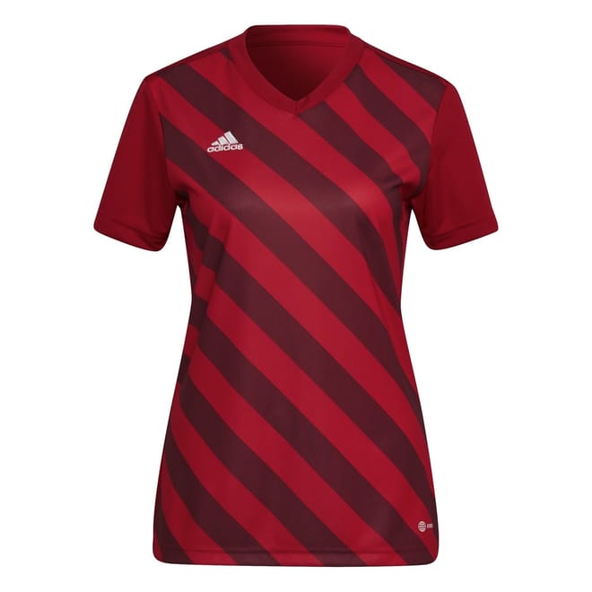 V Neck Regular Fit Gfx T-Shirt