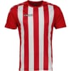 Stripe Crew Neck Regular Fit T-Shirt