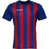Stripe Regular Fit Crew Neck T-Shirt