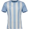 Stripe Crew Neck Regular Fit T-Shirt