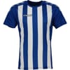 Stripe Crew Neck Regular Fit T-Shirt