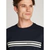 Chest Stripe Regular Fit Crew Neck T-Shirt