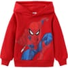 Fleece Lined Hoodie For Boys