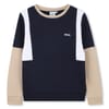 Block Crew Neck Regular Fit Sweatshirt