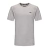Flex Regular Fit Crew Neck T-Shirt