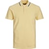 Regular Fit Polo T-Shirt