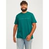 Mens Star T-Shirt Plus Size