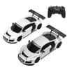 Control Sports Car 1:24 Scale
