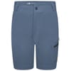 Reprisiishort