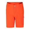 Reprise II Walking Shorts