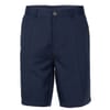 Mens Golf Shorts