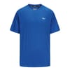 Flex Regular Fit Crew Neck T-Shirt