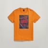 Camo Box ts