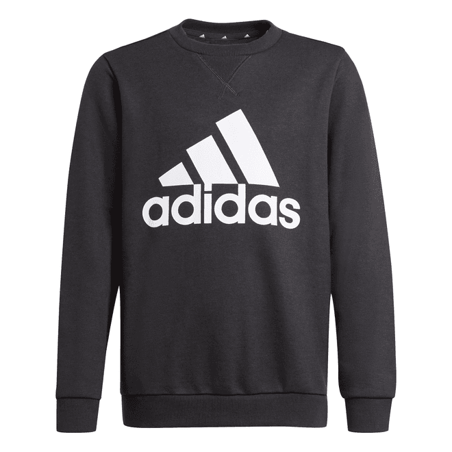 Boys Essentials Big Logo Sweatshirt