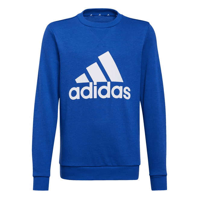 Boys Essentials Sweatshirt