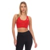 Series-3 Hi-Impact Bra
