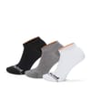 3 Pack of Core No Show Socks