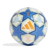 Uwcl 2024 2025 Mini Football Adults