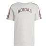 Mens Codes Collegiate Linear Graphic T-Shirt