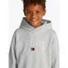Varsity Hooded Lettering Sweatshirt