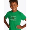 Flag Regular Fit Crew Neck T-Shirt