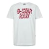 3d Dotted ts