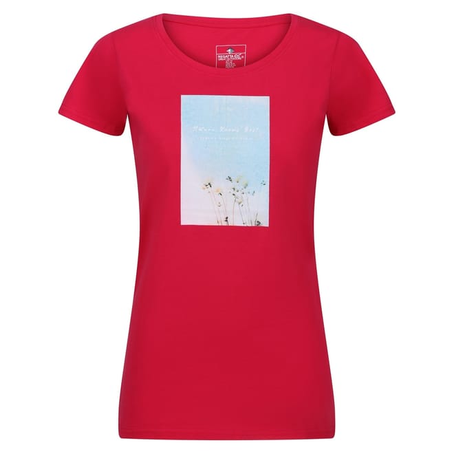 Regular Fit Scoop Neck T-Shirt