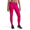 Womens Armour Heatgear® Leggings