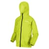 Kid Hooded Regular Fit Jacket