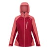 Birchoodyale Hooded Regular Fit Jacket