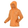 Corinne Iv Hooded Softshell Jacket