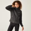 Zip Neck Regular Fit Sweatshirt