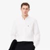 Button Down Oxford Shirt