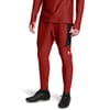 Challenger Pro Pants