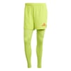 Mens T24 Pro Goal Keeper Legging