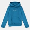 Regular Fit Hooded Sweatshirt