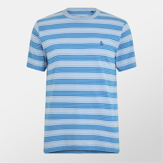 Regular Fit Stripe Crew Neck T-Shirt