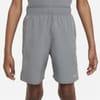Dri Fit Challenger Big Kids (boys) Training Shorts
